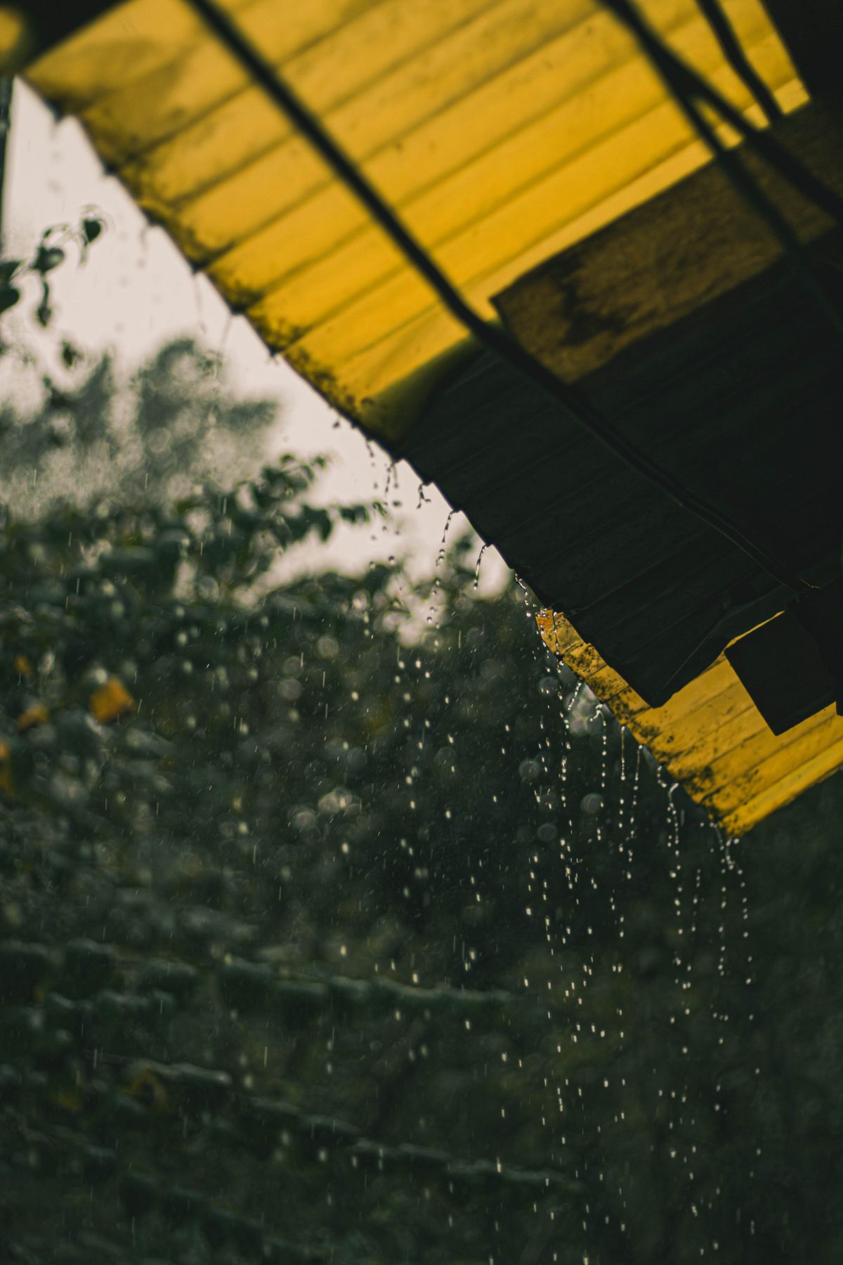 Heavy rain falling from the edge of a corrugated roof